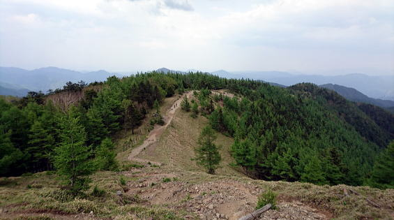 2017.6.10-11　雲取山（尾根歩き）
