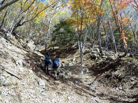 2016.11.5-6　瑞牆山 金峰山（尾根歩き）