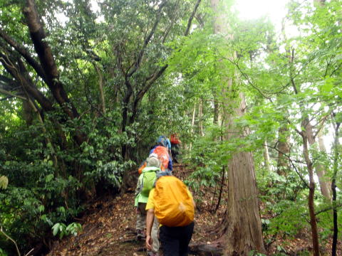 2016.6.5　労山クリーンハイク 北高尾山稜山稜（イベント）