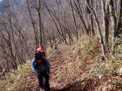 2017.2.25　道志 今倉山（尾根歩き）