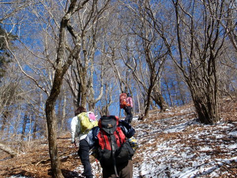 2017.2.25　道志 今倉山（尾根歩き）