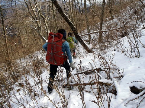 2017.2.25　道志 今倉山（尾根歩き）