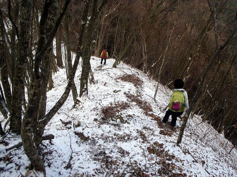 2017.2.25　道志 今倉山（尾根歩き）