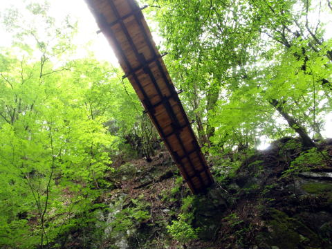 2016.6.25-26 大雲取谷(沢登り)