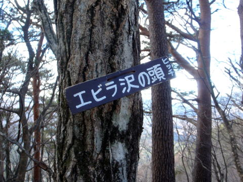 2017.2.25　道志 今倉山（尾根歩き）