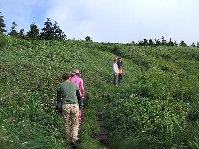 2014.8.30 会津駒ケ岳(尾根歩き)