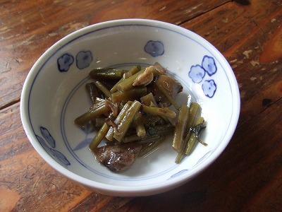 2014.8.30 会津駒ケ岳(尾根歩き)