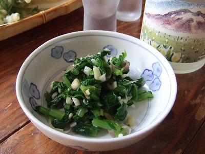 2014.8.30 会津駒ケ岳(尾根歩き)