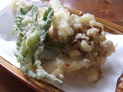 2014.8.30 会津駒ケ岳(尾根歩き)