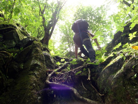 2016.6.25-26 大雲取谷(沢登り)