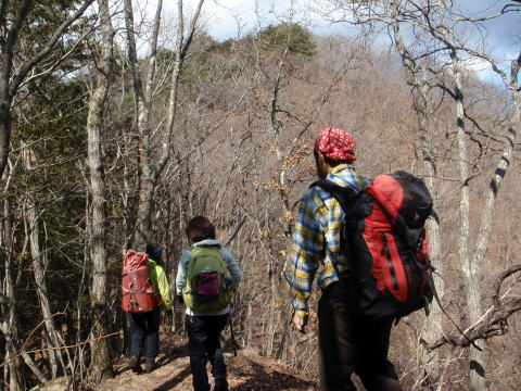 2017.2.25　道志 今倉山（尾根歩き）