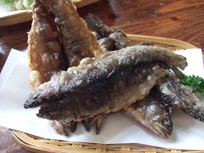 2014.8.30 会津駒ケ岳(尾根歩き)