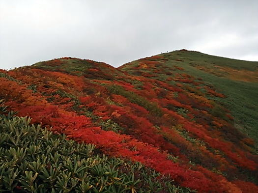 2014.9.21　平標山（尾根歩き）