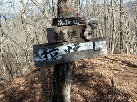 2017.2.25　道志 今倉山（尾根歩き）