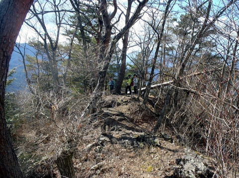 2017.2.25　道志 今倉山（尾根歩き）