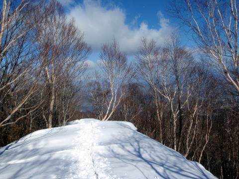 2017.3.11-12　大佐飛山（百村山～黒滝山～大長山まで）（雪山）