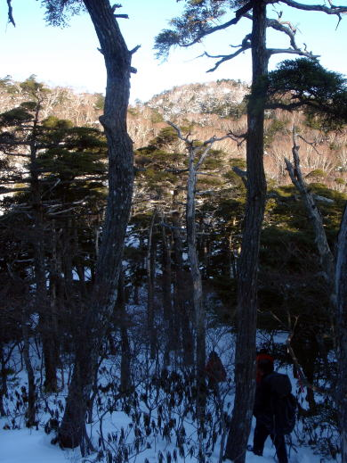 2017.3.11-12　大佐飛山（百村山～黒滝山～大長山まで）（雪山）