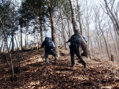 2017.3.25 滝子山(尾根歩き)