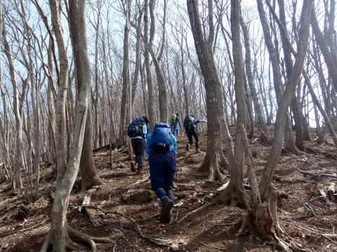 2017.3.25 滝子山(尾根歩き)