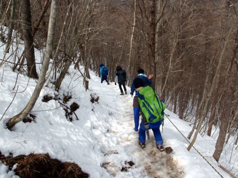2017.3.25 滝子山(尾根歩き)