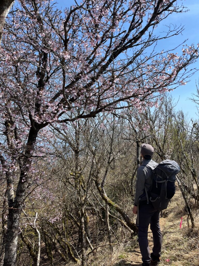 2026.04.12 葛葉川本谷(沢登り)