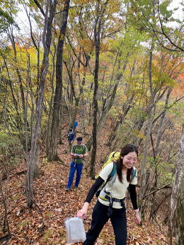 2020.11.3　日光・火戸尻山～鳴虫山（尾根歩き）