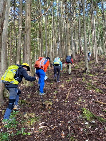 2020.11.3　日光・火戸尻山～鳴虫山（尾根歩き）