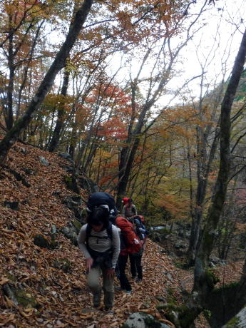 2020.11.7-8 徳和川〜大ダオ〜黒金山(尾根歩き・その他)
