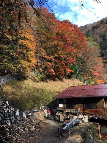2020.11.7-8　雲取山（尾根歩き）