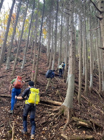 2020.11.3　日光・火戸尻山～鳴虫山（尾根歩き）