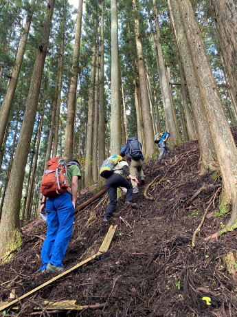 2020.11.3　日光・火戸尻山～鳴虫山（尾根歩き）