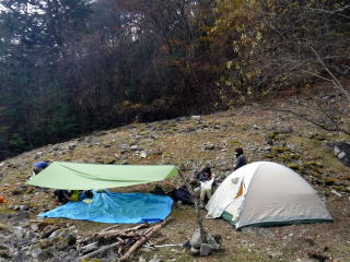 2020.11.7-8 徳和川〜大ダオ〜黒金山(尾根歩き・その他)