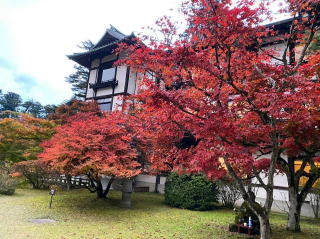 2020.11.3　日光・火戸尻山～鳴虫山（尾根歩き）