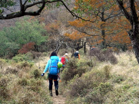 2020.10.25 水無川本谷(沢登り)