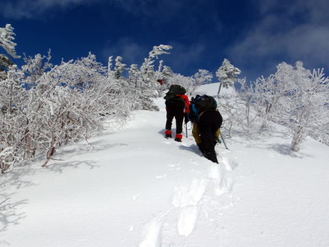 2016.2.20-21 八ヶ岳 権現岳(雪山)