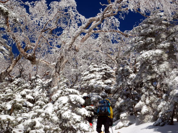 2016.2.20-21 八ヶ岳 権現岳(雪山)