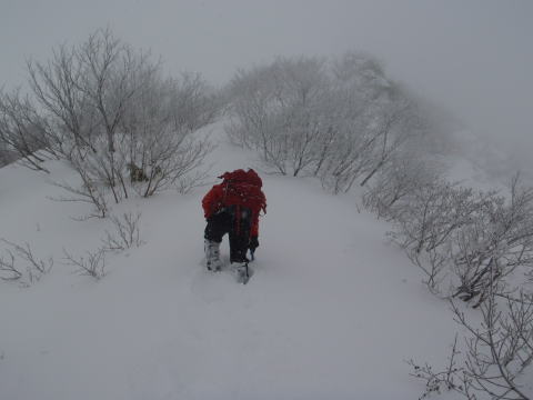 2016.1.10-11 谷川岳(雪山)