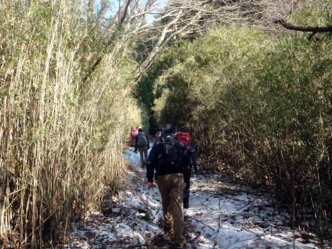 2015.1.4 湯河原幕山(尾根歩き・イベント)