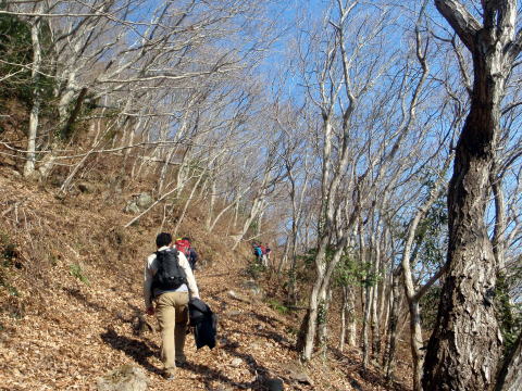 2015.1.4 湯河原幕山(尾根歩き・イベント)