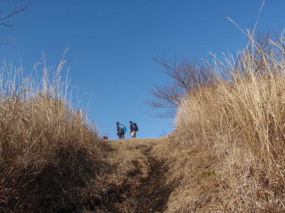 2015.1.4 湯河原幕山(尾根歩き・イベント)