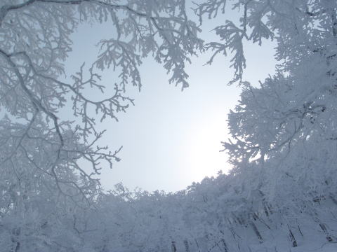 2015.1.11-12　甲子山（雪山）