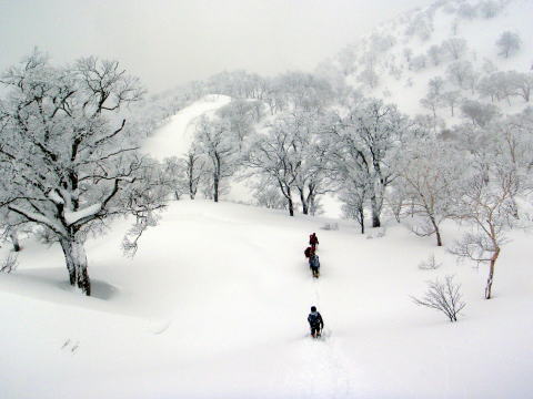 2015.1.11-12　甲子山（雪山）