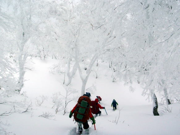2015.1.11-12　甲子山（雪山）