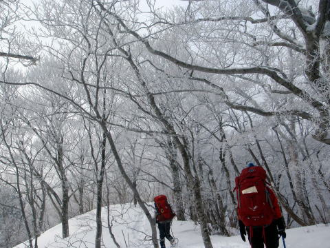 2015.1.11-12　甲子山（雪山）