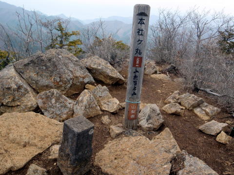 2015.4.19　本社ヶ丸（尾根歩き）