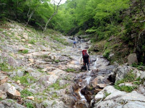 2015.6.14 鶏冠谷左俣(沢登り)