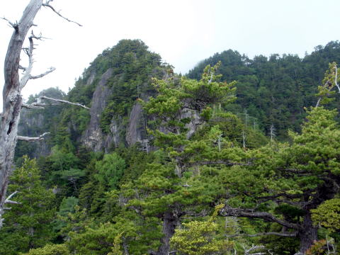 2015.6.14 鶏冠谷左俣(沢登り)