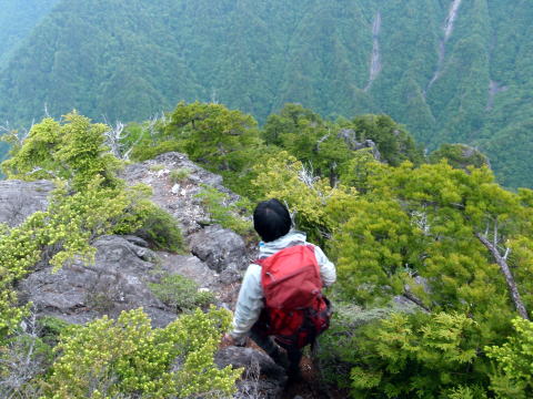 2015.6.14 鶏冠谷左俣(沢登り)