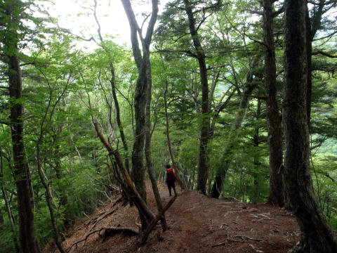 2015.6.14 鶏冠谷左俣(沢登り)