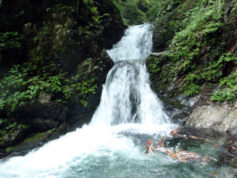 2015.7.19 豆焼沢(沢登り)